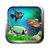 3D Aquarium Live Wallpaper & Moving Fish Themes 1.0