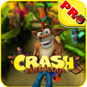 Crash Bandicoot The Huge Adventure 2.0