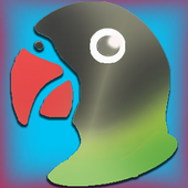 Training Lovebird 1.3