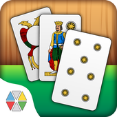 Scopa 6.46.2
