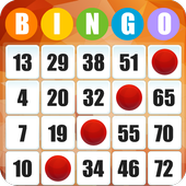 Bingo - Free Bingo Games 2.04.004