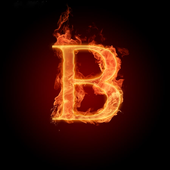 B 1.0