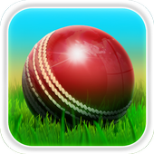 Cricket 3D 1.8.3