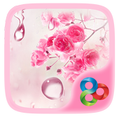 Water Drops GOLauncher Theme 3.3.0