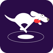 DOG VPN 1.0