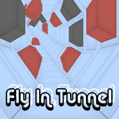Fly In Tunnel 2.0