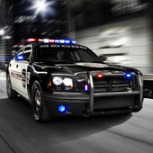 Fast Police Car Driving 3D 1.17