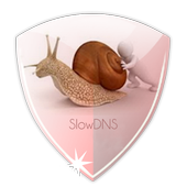 VPN Over DNS Tunnel : SlowDNS 2.6.7