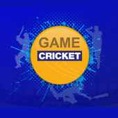 IPL Cricket Game 0.0.1