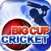 Big Cup Cricket Free 1.4.0