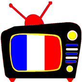 TNT France Direct TV 1.3