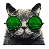 Cat VPN Free 4.6.7