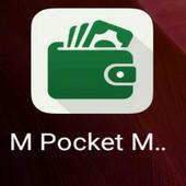 M POCKET MONEY 1.0