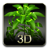 My 3D plant 2.6