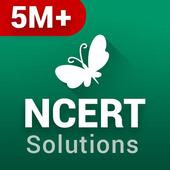 NCERT Solutions 3.5.50