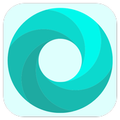 Mint Browser 3.9.3