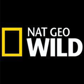 Nat Geo Wild 1.0.1