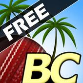 Beach Cricket 2.5.5