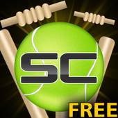 Street Cricket 4.3