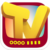 TV Replay 8