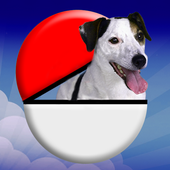 Pocket Puppy GO 1.1