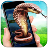 Snake In Phone Prank 2.9