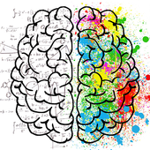 Brain Training 8.5.6