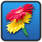 Beautiful Flower Stickers 1.1