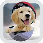 Pocket Puppy Dogs GO 3