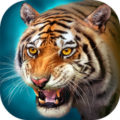 The Tiger 1.6.5