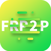 FRP2P 04.63.00.01