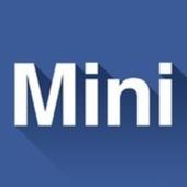 Mini Facebook 4.8.1