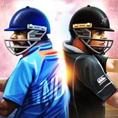 T20 Cricket Champions 3D 1.8.414