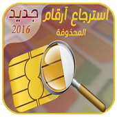 Recovery Sim Card 1