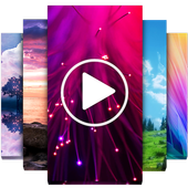 HD Video Wallpapers 2.0.1-37