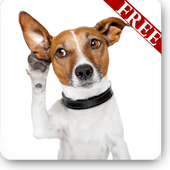 Animal Sounds 1.6