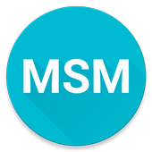 MSM 0.0.1