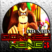 Donkey Kong Country 3 1.0