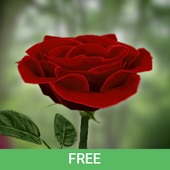 3D Rose Live Wallpaper Free 5.9