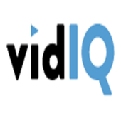 VidIQ 1.0