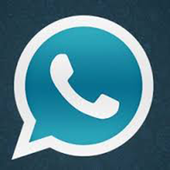 WhatsApp Plus 2.0